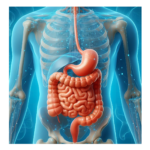 We Need Good Stomach Acid for Optimal Gut Health